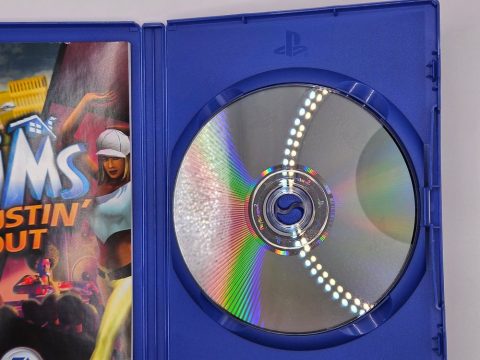 The Sims Bustin' out, photo 6